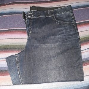 Lane Bryant Jeans